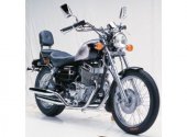 2007 Jinlun JL 250A V-Gunn photo